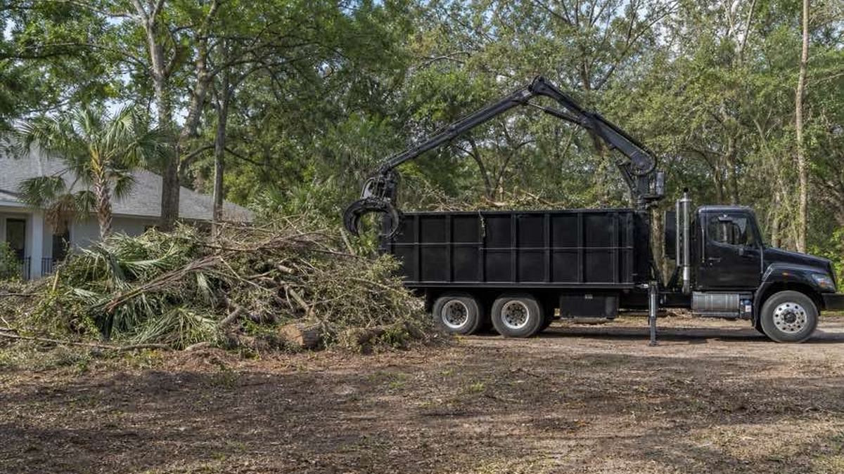 AI-generated image of tangled cut vines and brush arranged in an accessible debris pile beside a Deltona property, with visible branches and cleared space around the pile