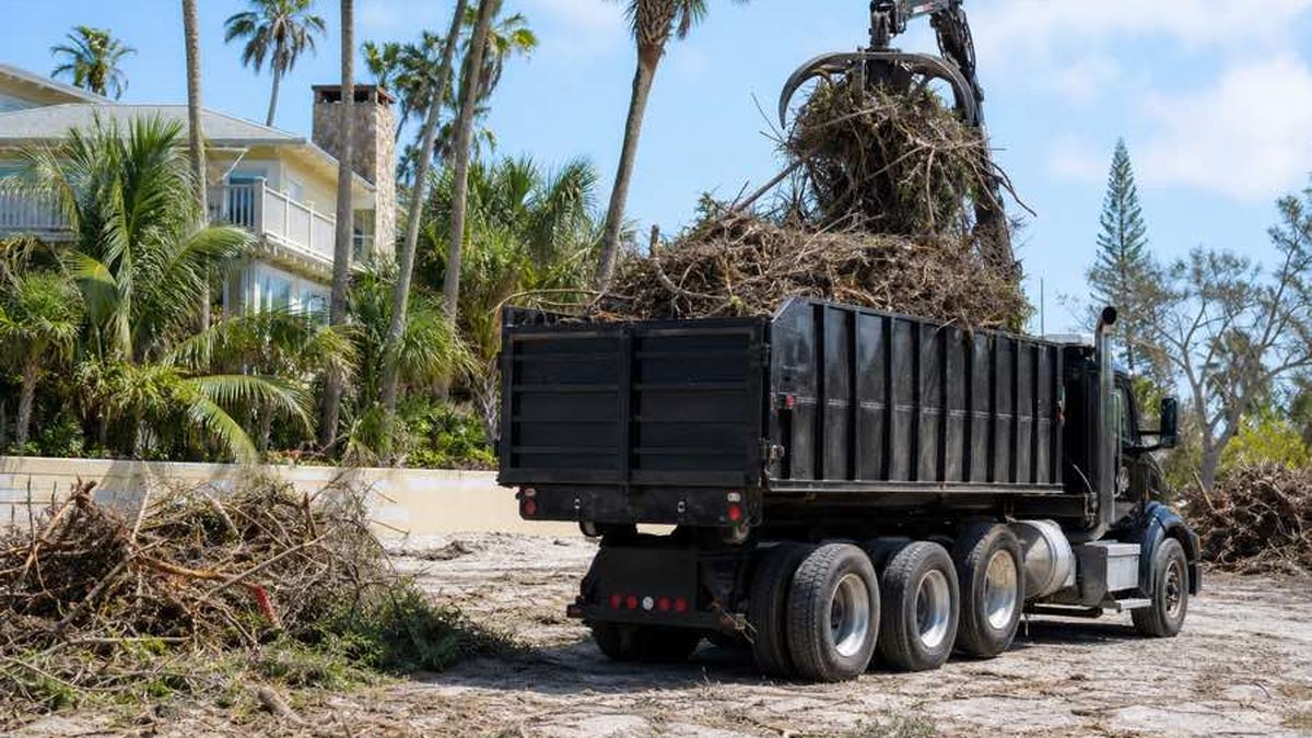 AI-generated image of consolidated pile of cut branches and brush beside a clear access area on a residential property in New Smyrna Beach, Florida