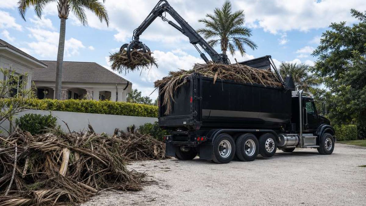 AI-generated image of grapple truck beside a consolidated pile of cut palm fronds in a Flagler Beach commercial parking area