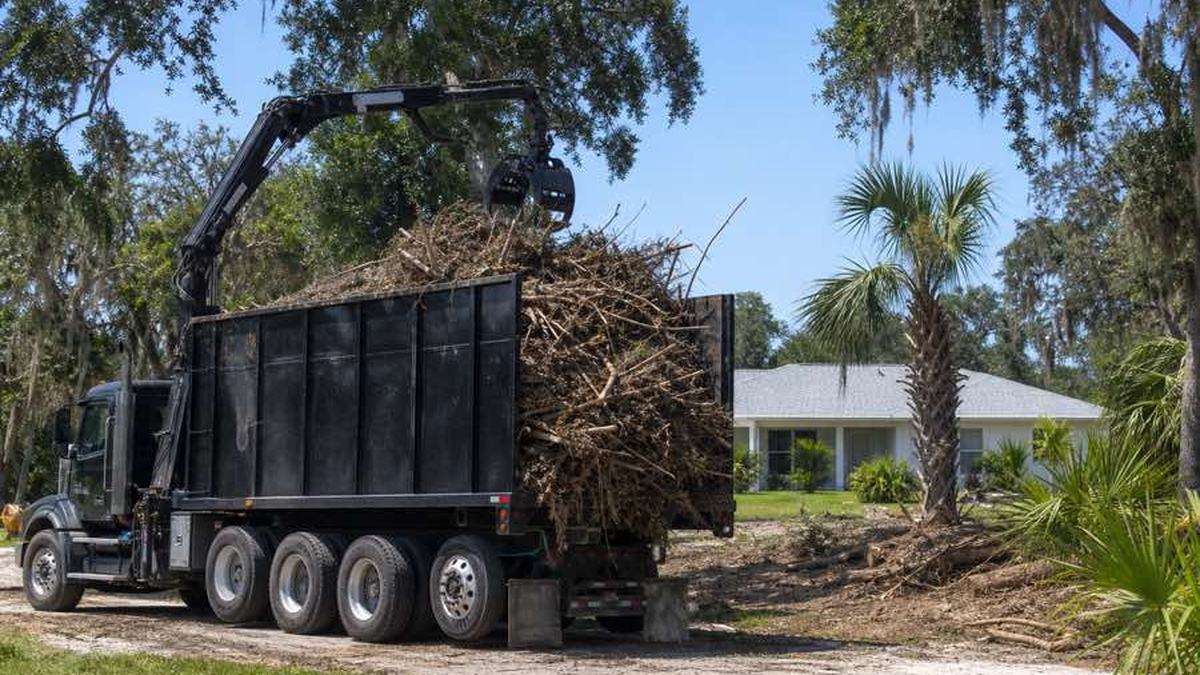 AI-generated image of grapple truck positioned beside a prepared pile of cut branches and logs at an Ormond Beach property