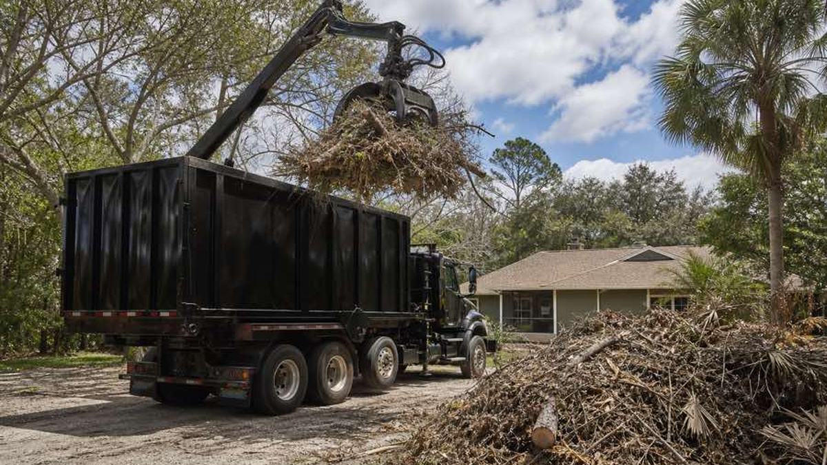 AI-generated image of grapple truck positioned beside consolidated cut branches and logs at a land-clearing site near DeLand, Florida