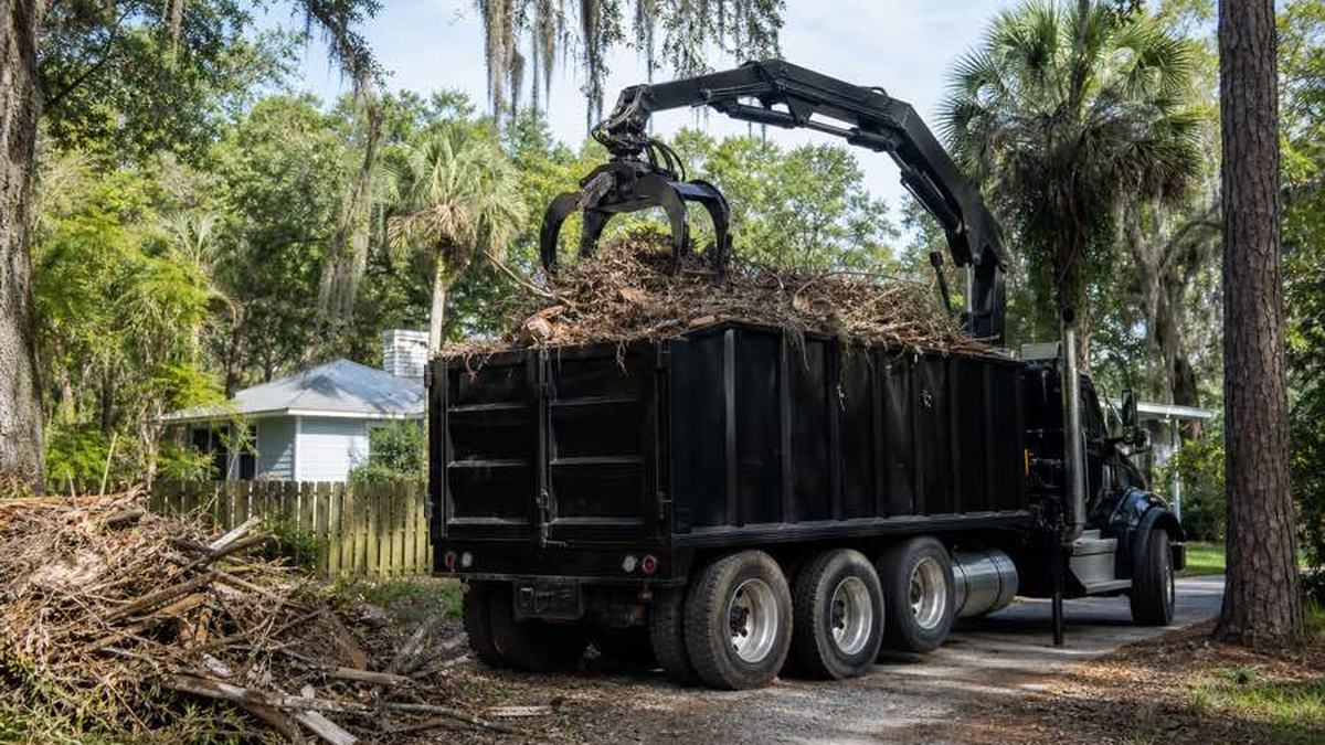 AI-generated image of cut branches and brush consolidated in one accessible area on a cleared DeLand lot beside an open haul route