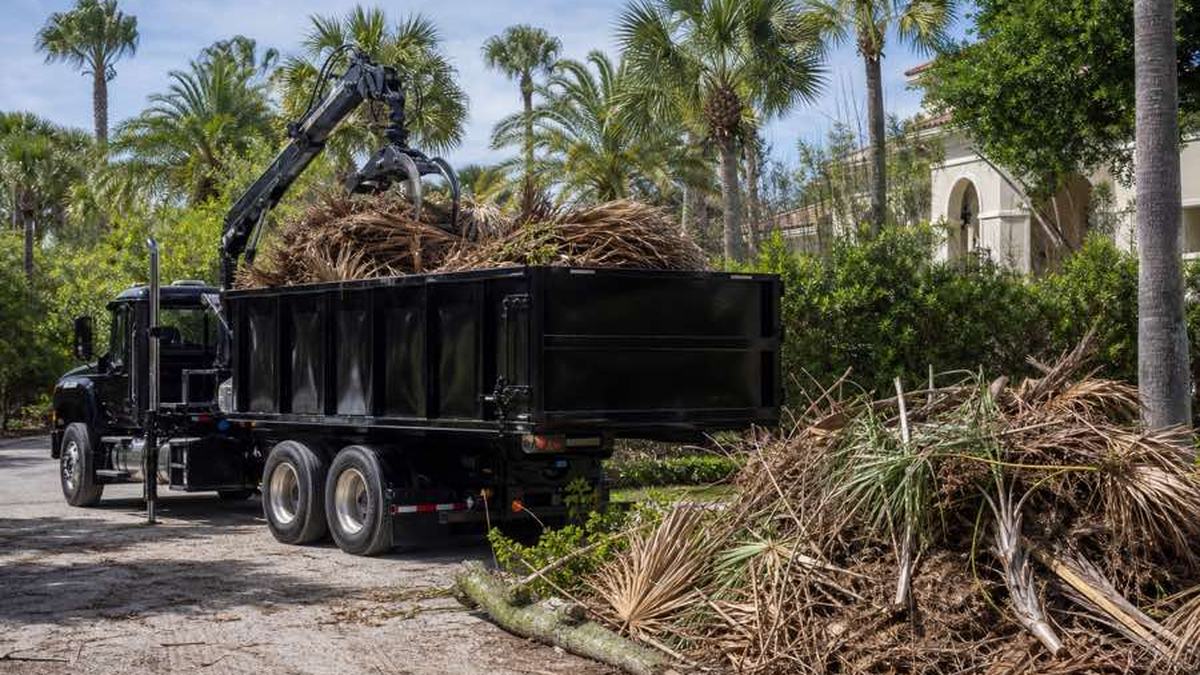 AI-generated image of tangled cut palm fronds stacked with stems aligned beside a clear driveway in Palm Coast, Florida