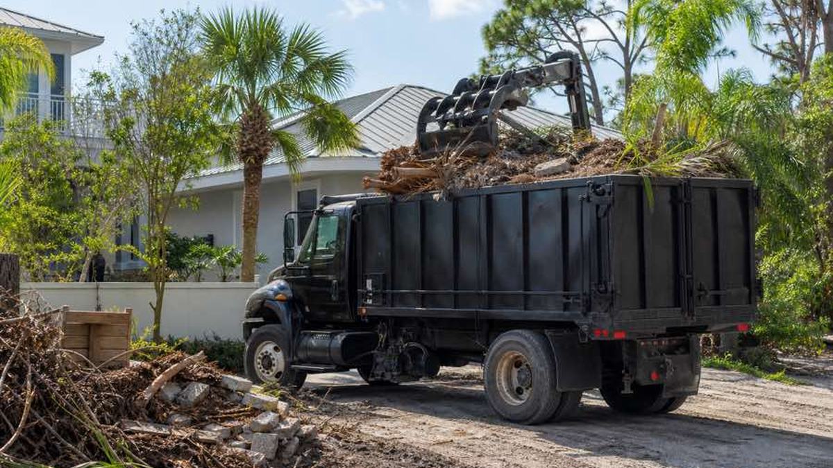 AI-generated image of homeowner photographing a cut branch and yard debris pile beside a Daytona Beach driveway, with the access route and overhead clearance visible