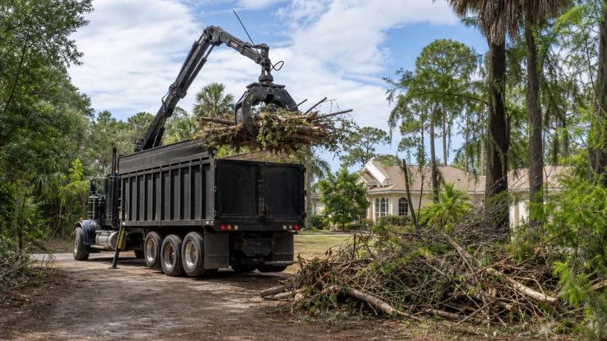 AI-generated image of cut tree limbs and trunk sections aligned in a roadside-accessible pile on a Port Orange residential property