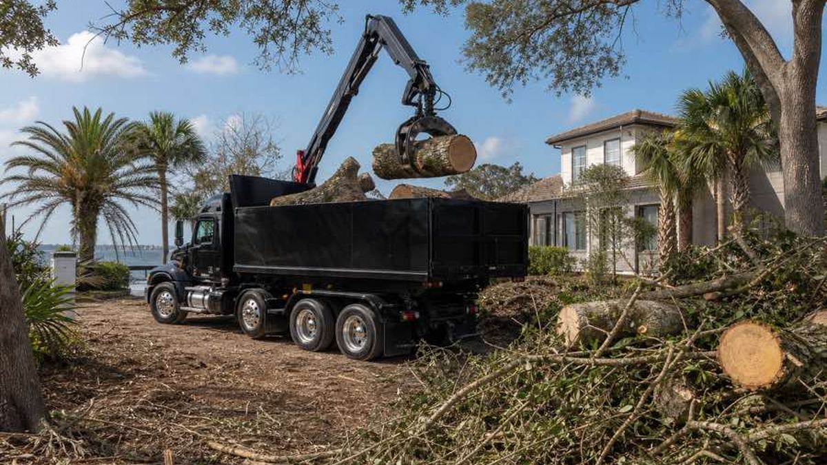 AI-generated image of cut tree trunk sections and branches staged in an open area near a grapple truck in Ormond Beach, Florida
